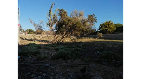 Terreno para Venda em Colares
