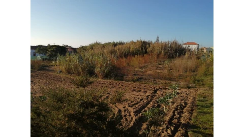 Terreno para Venda em Colares