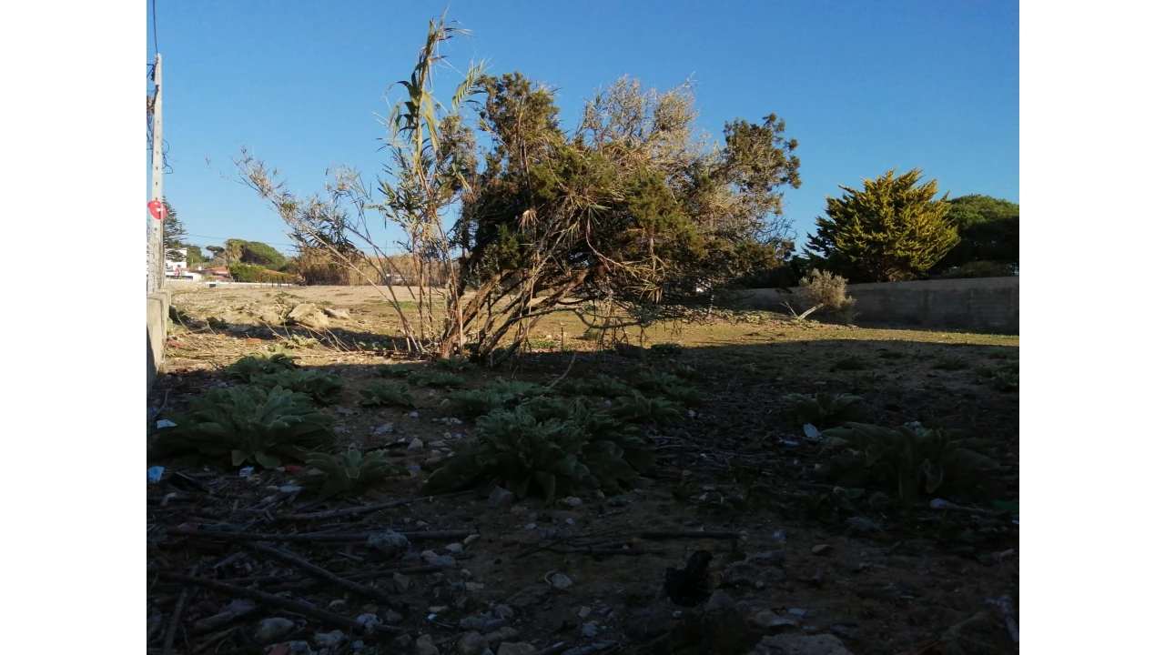 Terreno para Venda em Colares Foto 10
