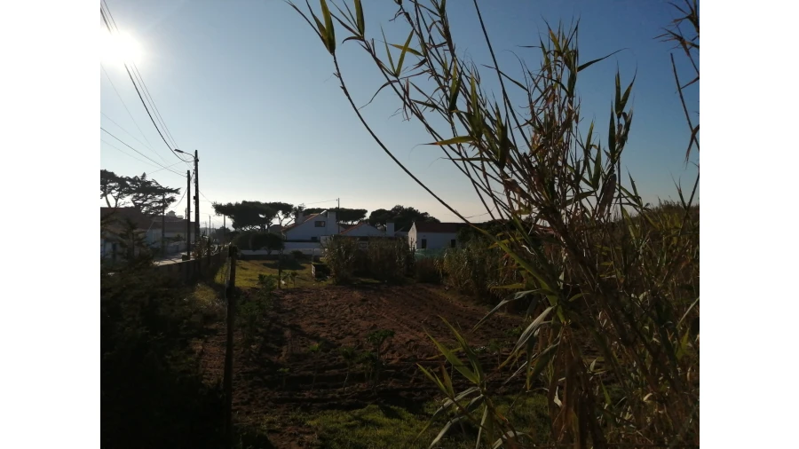 Terreno para Venda em Colares Foto 7