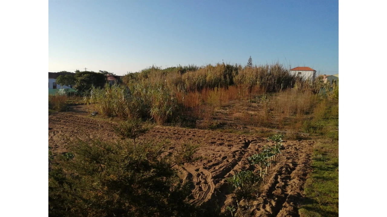 Terreno para Venda em Colares Foto 9