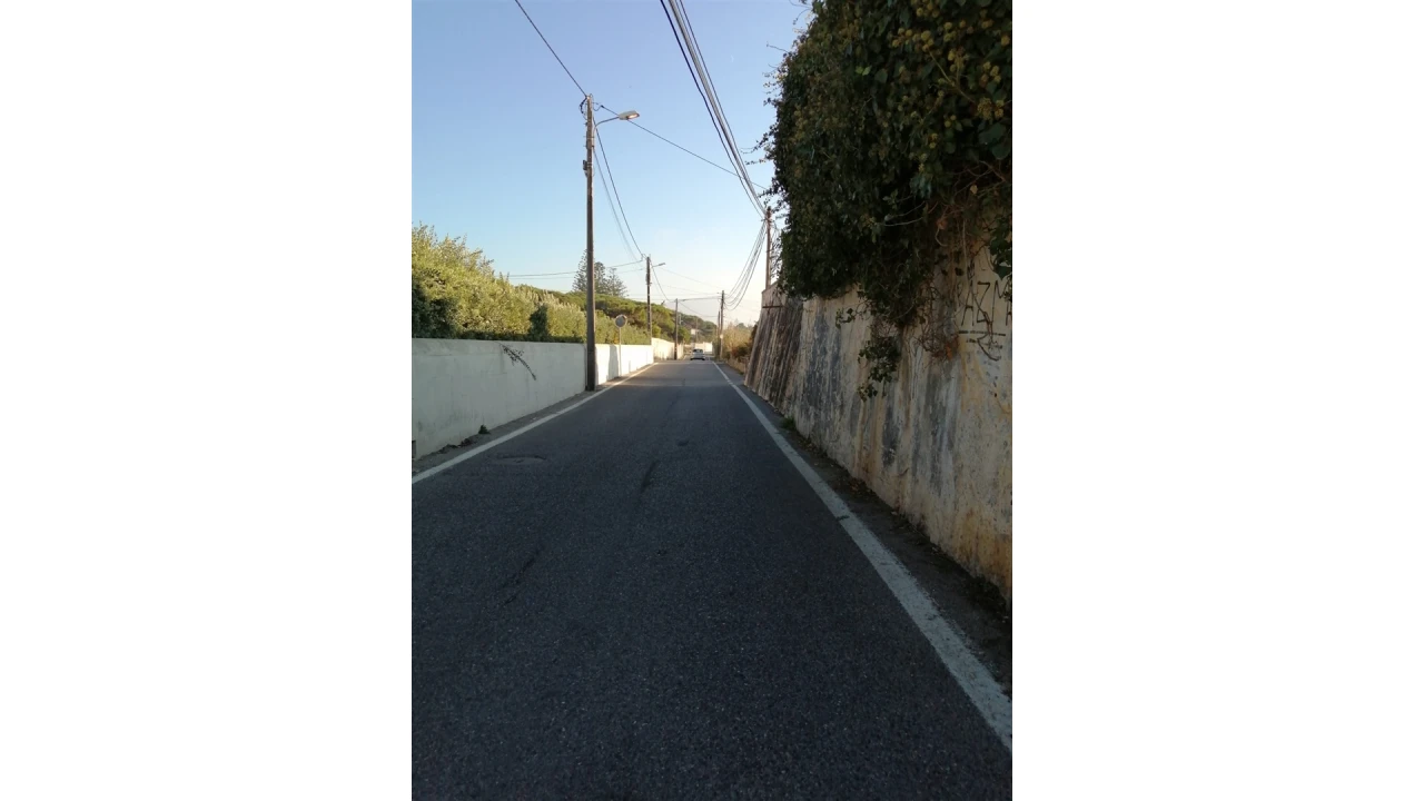 Terreno para Venda em Colares Foto 3