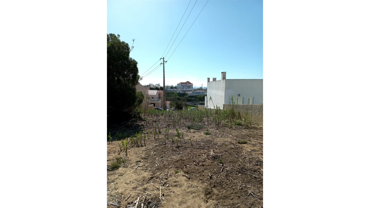 Terreno para Venda em Colares Foto 10