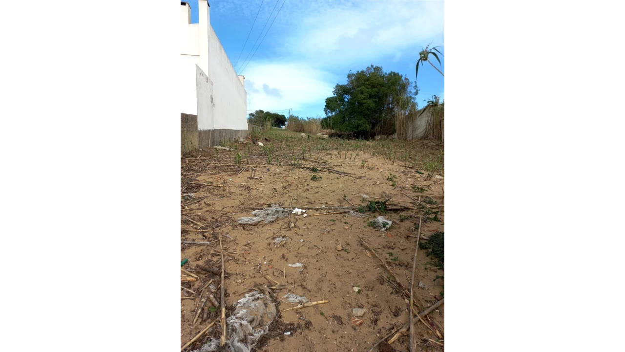 Terreno para Venda em Colares Foto 5