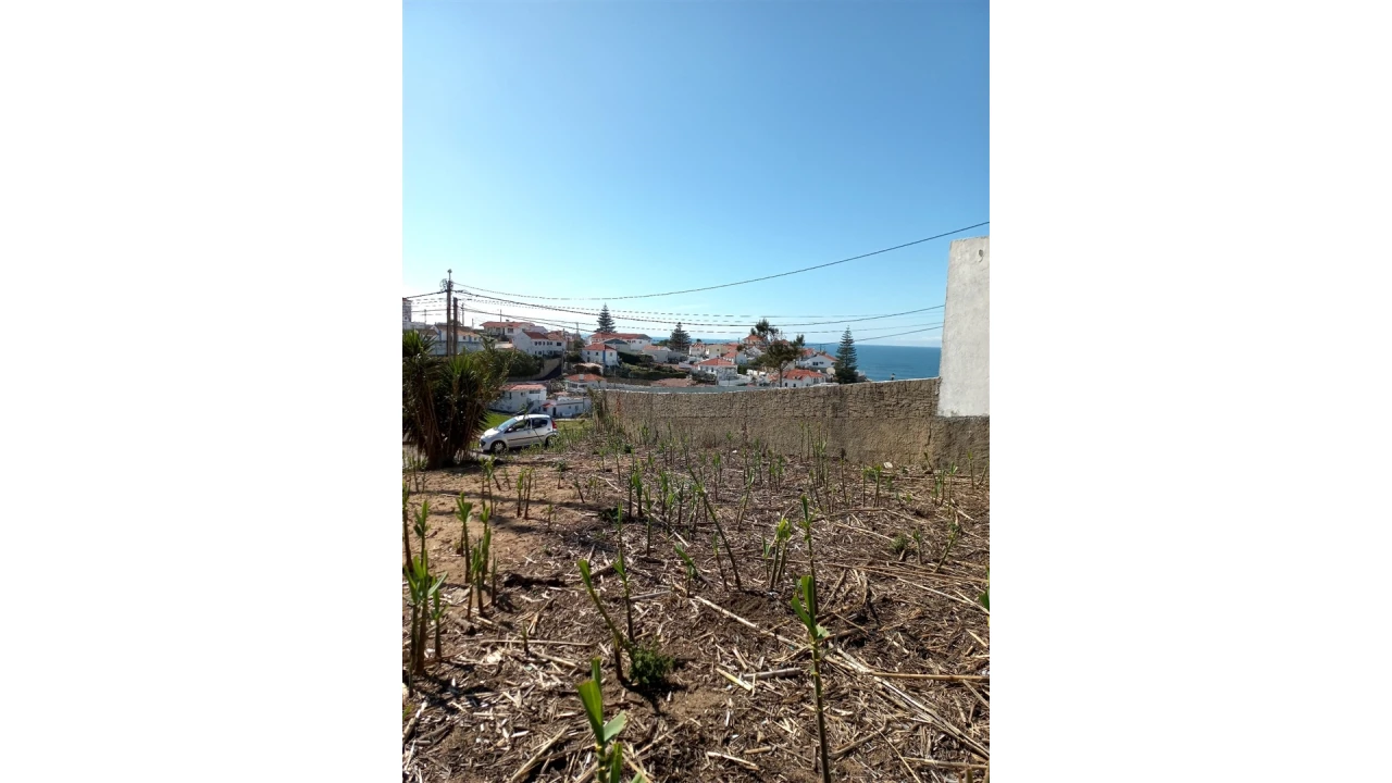 Terreno para Venda em Colares Foto 11