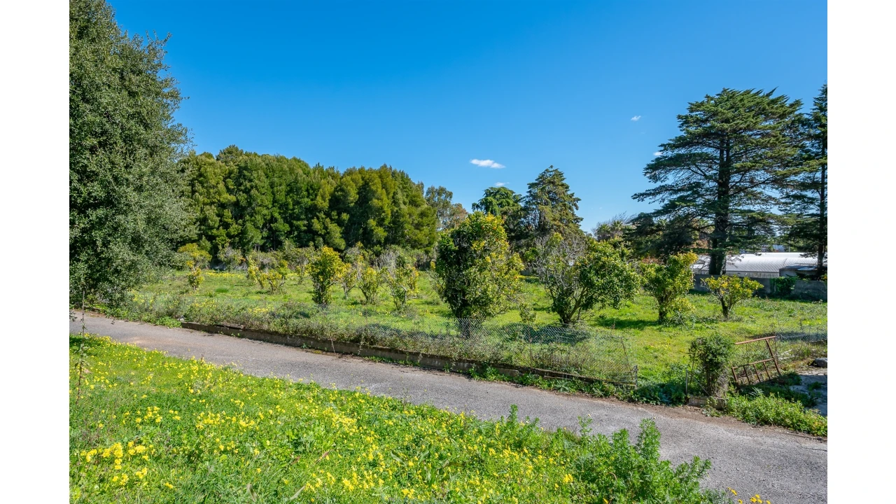 Moradia T10 para Venda em Santa Maria e São Miguel, São Martinho, São Pedro Penaferrim Foto 35