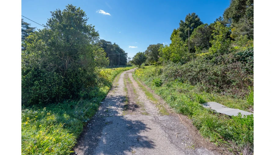 Moradia T10 para Venda em Santa Maria e São Miguel, São Martinho, São Pedro Penaferrim Foto 37