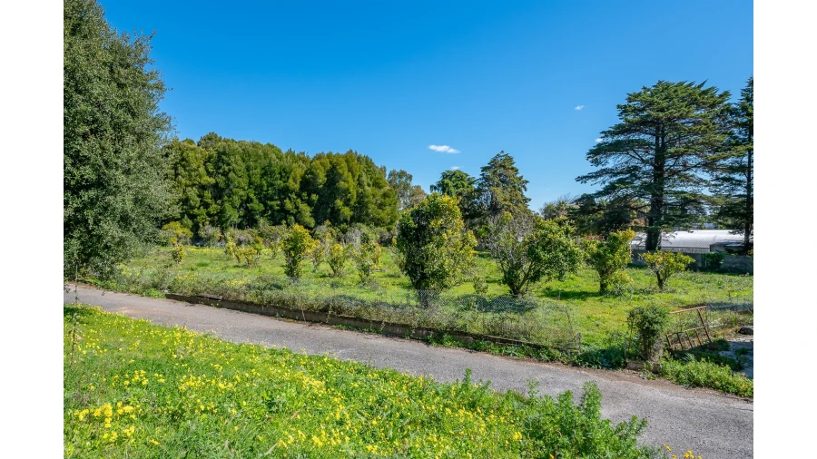 Moradia T10 para Venda em Santa Maria e São Miguel, São Martinho, São Pedro Penaferrim Foto 35