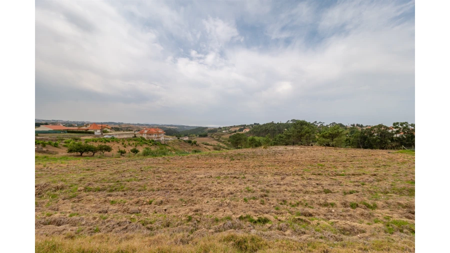 Terreno para Venda em Santo Isidoro Foto 6