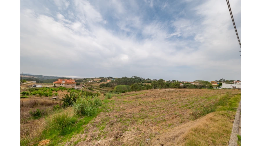 Terreno para Venda em Santo Isidoro Foto 7