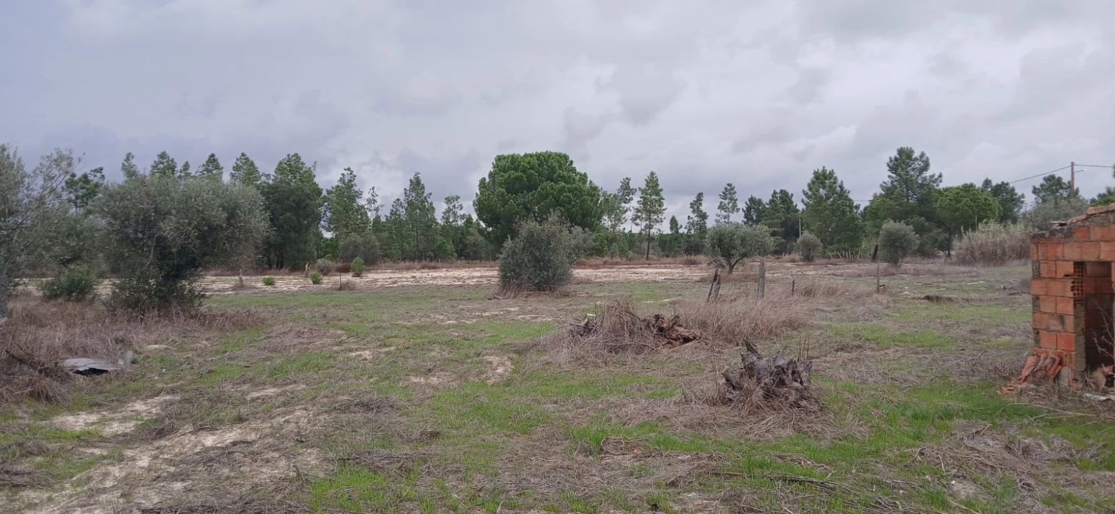 Terreno para Venda em Grândola e Santa Margarida da Serra Foto 37