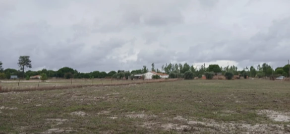 Terreno para Venda em Grândola e Santa Margarida da Serra