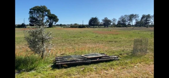 Terreno para Venda em Grândola e Santa Margarida da Serra
