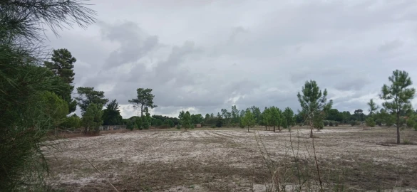 Terreno para Venda em Grândola e Santa Margarida da Serra
