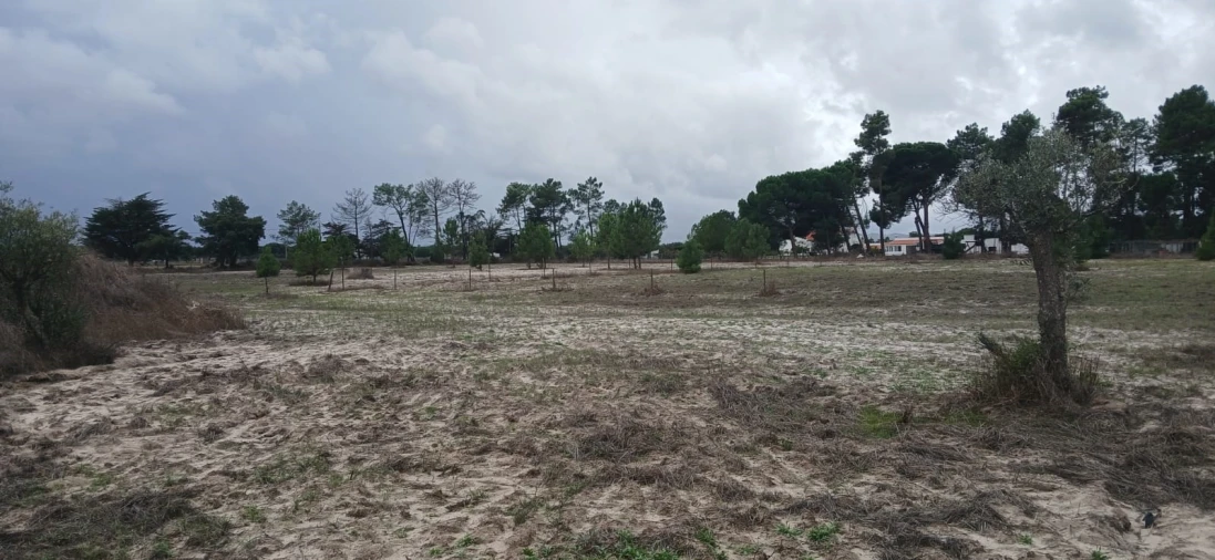 Terreno para Venda em Grândola e Santa Margarida da Serra Foto 15