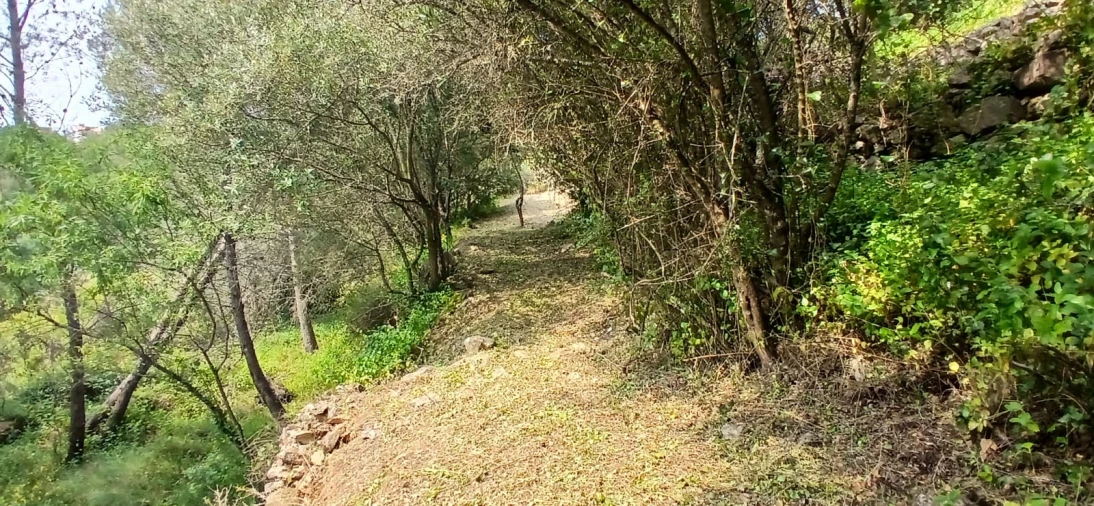 Moradia T4 para Venda em Cascais e Estoril Foto 49