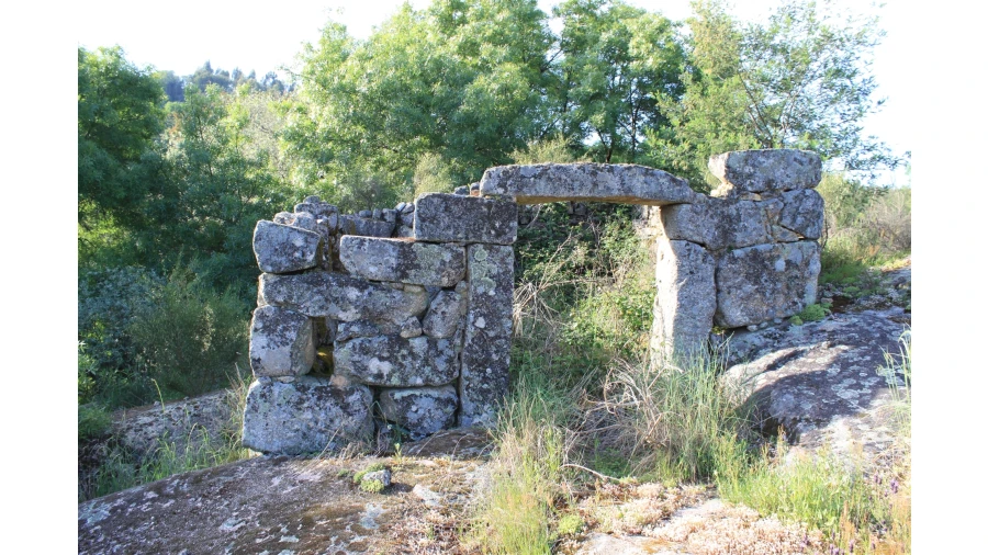 Moradia T7 para Venda em Silgueiros Foto 22