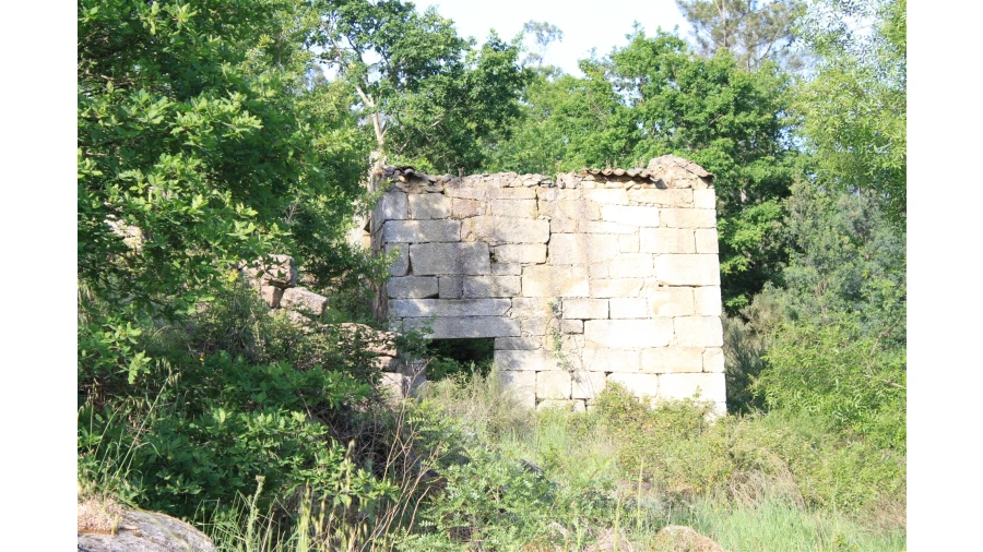 Moradia T7 para Venda em Silgueiros Foto 20