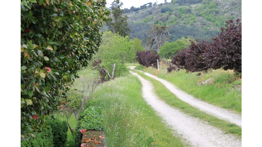 Moradia T7 para Venda em Silgueiros Foto 12