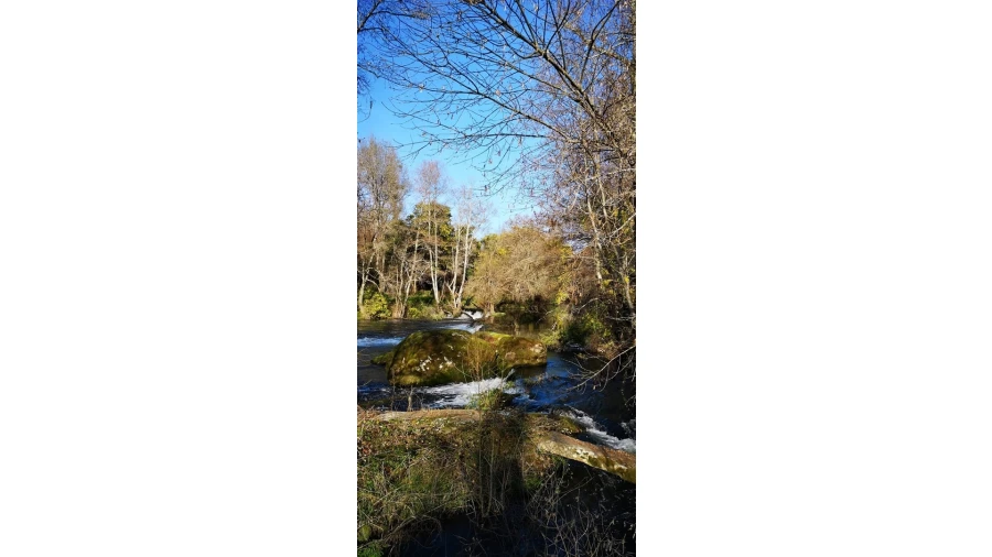 Moradia T7 para Venda em Silgueiros Foto 42