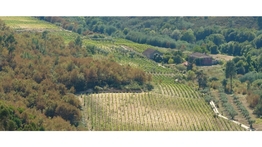 Moradia T7 para Venda em Silgueiros Foto 6