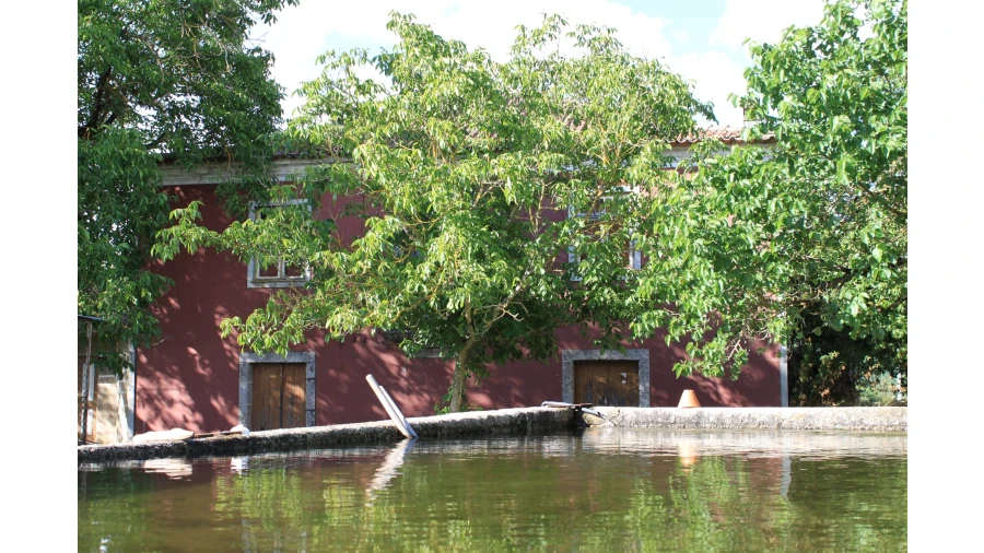 Moradia T7 para Venda em Silgueiros Foto 7