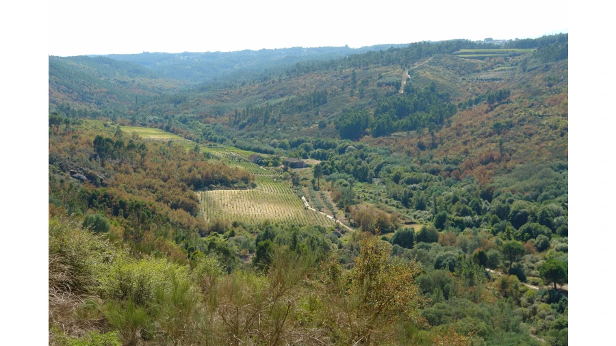 Moradia T7 para Venda em Silgueiros Foto 5