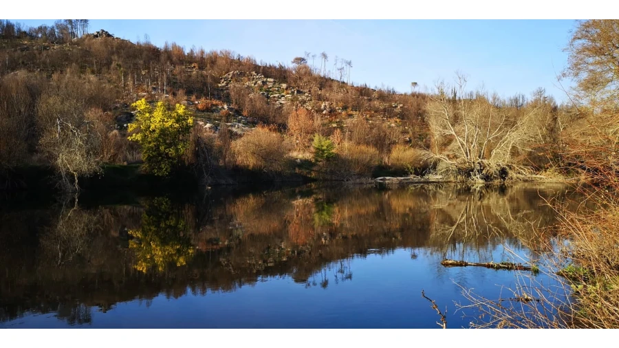 Moradia T7 para Venda em Silgueiros Foto 43