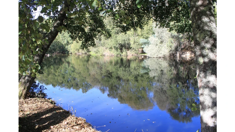 Moradia T7 para Venda em Silgueiros Foto 31