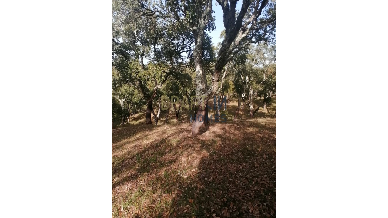 Terreno Agricola ou Rústico para Venda em Melides Foto 12