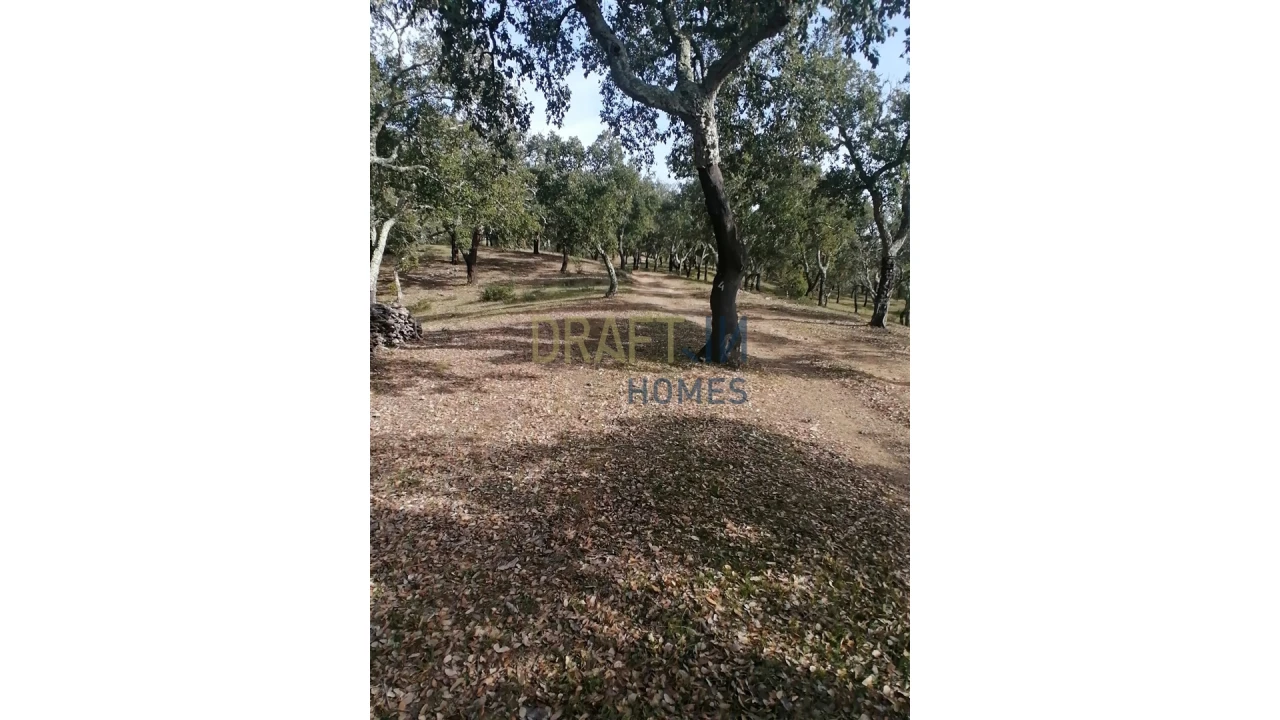 Terreno Agricola ou Rústico para Venda em Melides Foto 25