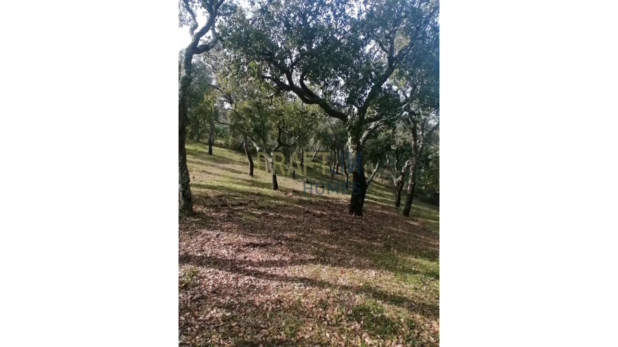 Terreno Agricola ou Rústico para Venda em Melides Foto 26