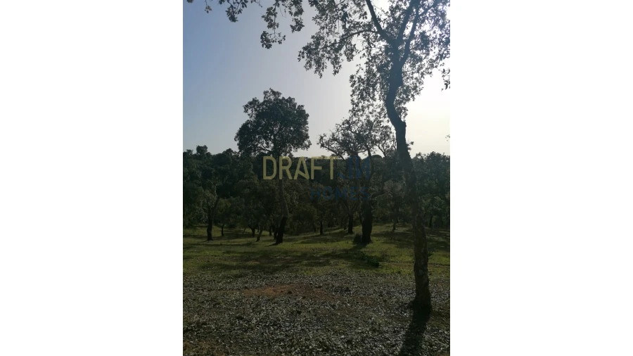 Terreno Agricola ou Rústico para Venda em Melides Foto 18