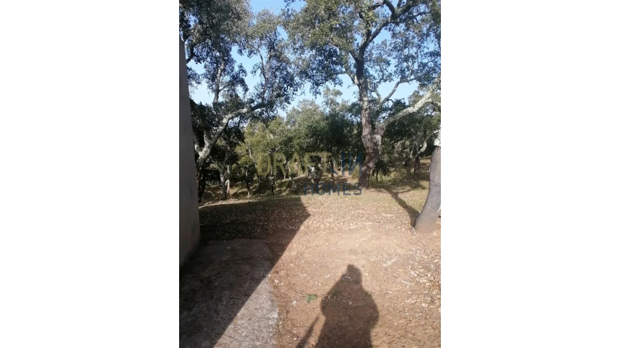 Terreno Agricola ou Rústico para Venda em Melides Foto 19