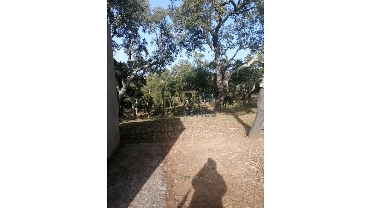 Terreno Agricola ou Rústico para Venda em Melides Foto 4