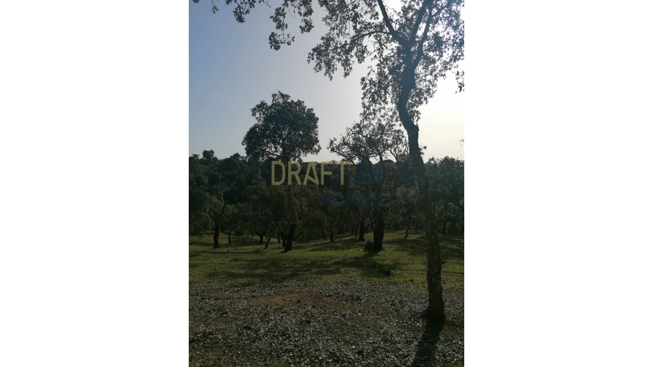 Terreno Agricola ou Rústico para Venda em Melides Foto 18