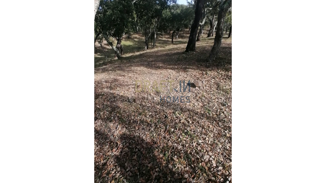 Terreno Agricola ou Rústico para Venda em Melides Foto 15