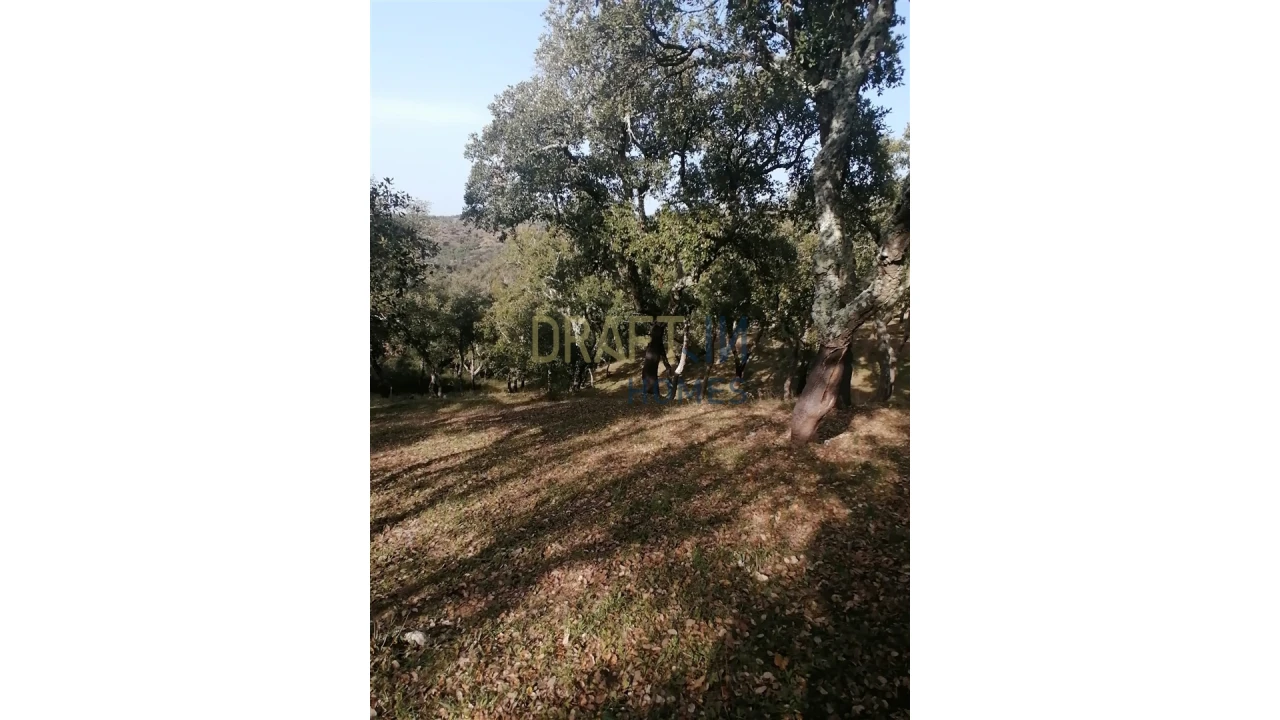 Terreno Agricola ou Rústico para Venda em Melides Foto 29