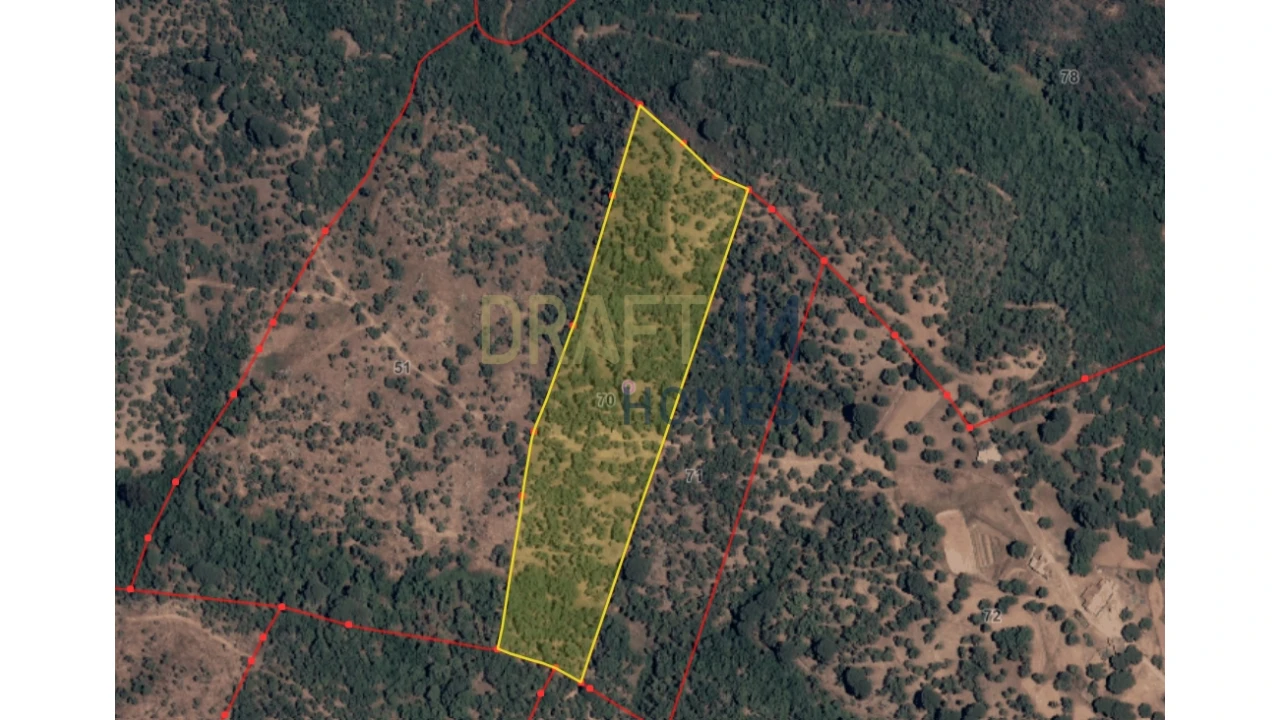 Terreno Agricola ou Rústico para Venda em Melides Foto 31