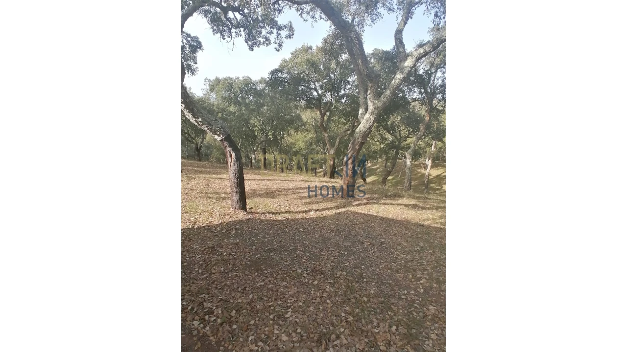 Terreno Agricola ou Rústico para Venda em Melides Foto 17