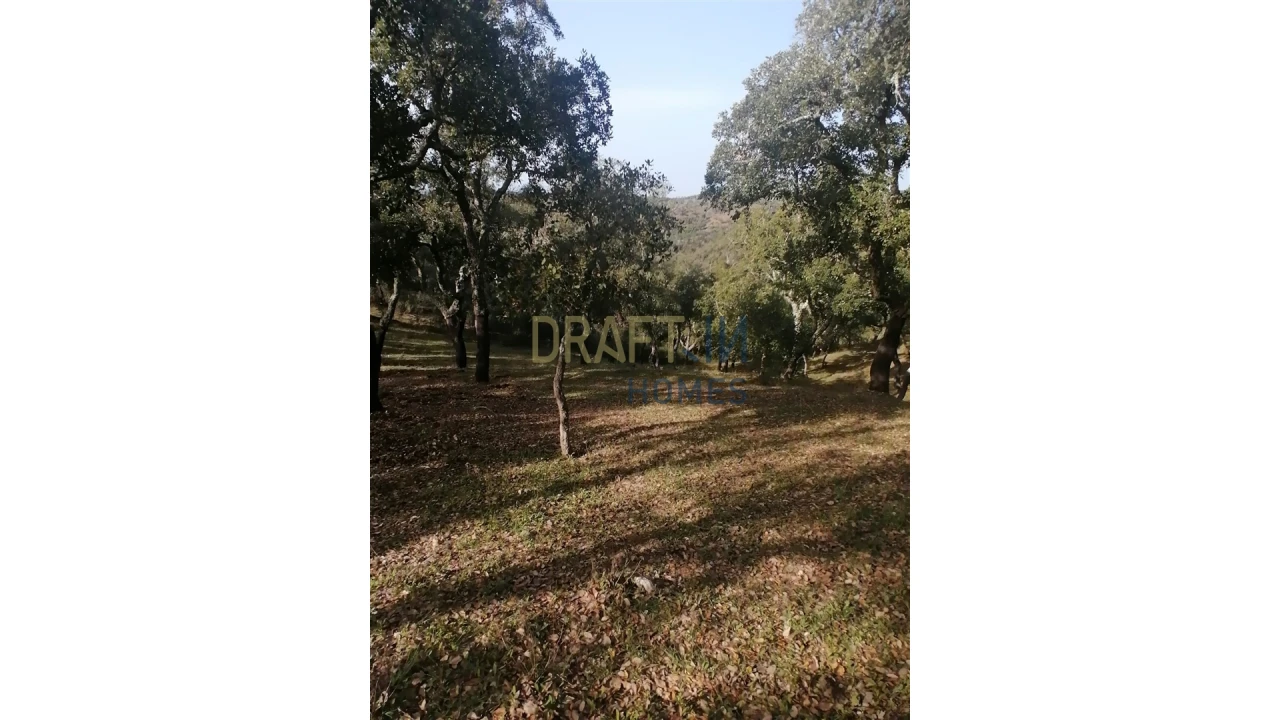 Terreno Agricola ou Rústico para Venda em Melides Foto 13