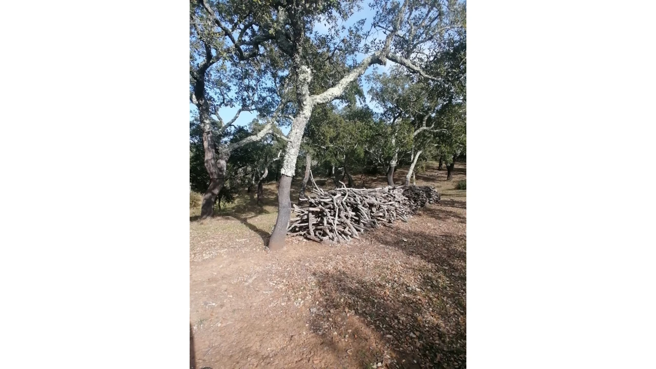 Terreno Agricola ou Rústico para Venda em Grândola e Santa Margarida da Serra Foto 3