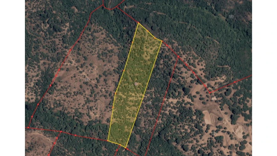 Terreno Agricola ou Rústico para Venda em Grândola e Santa Margarida da Serra Foto 1