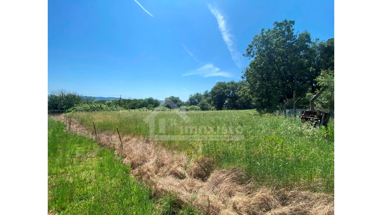 Loja para Venda em Chão de Couce Foto 16