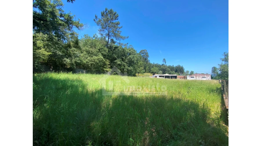 Loja para Venda em Chão de Couce Foto 17