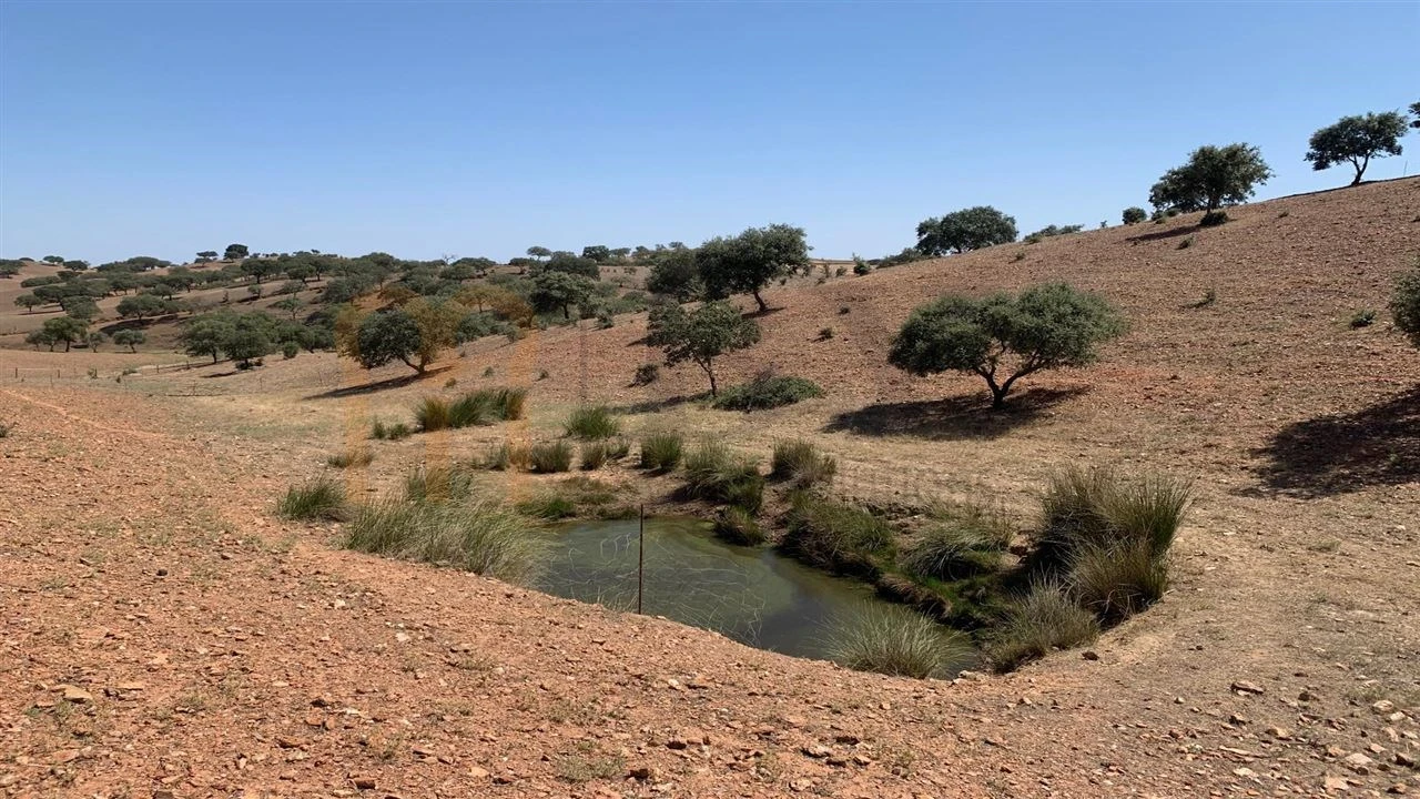 Terreno Agricola ou Rústico para Venda em Santana de Cambas Foto 1
