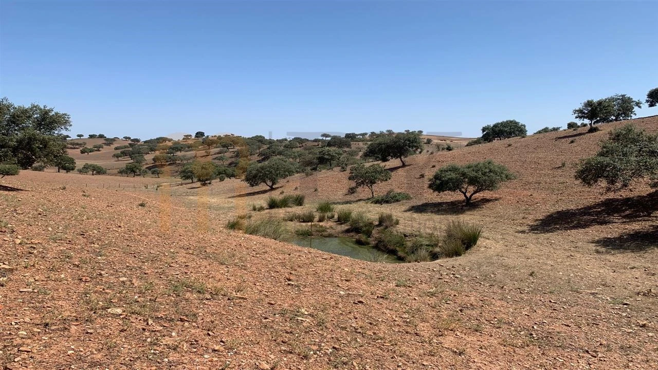 Terreno Agricola ou Rústico para Venda em Santana de Cambas Foto 2
