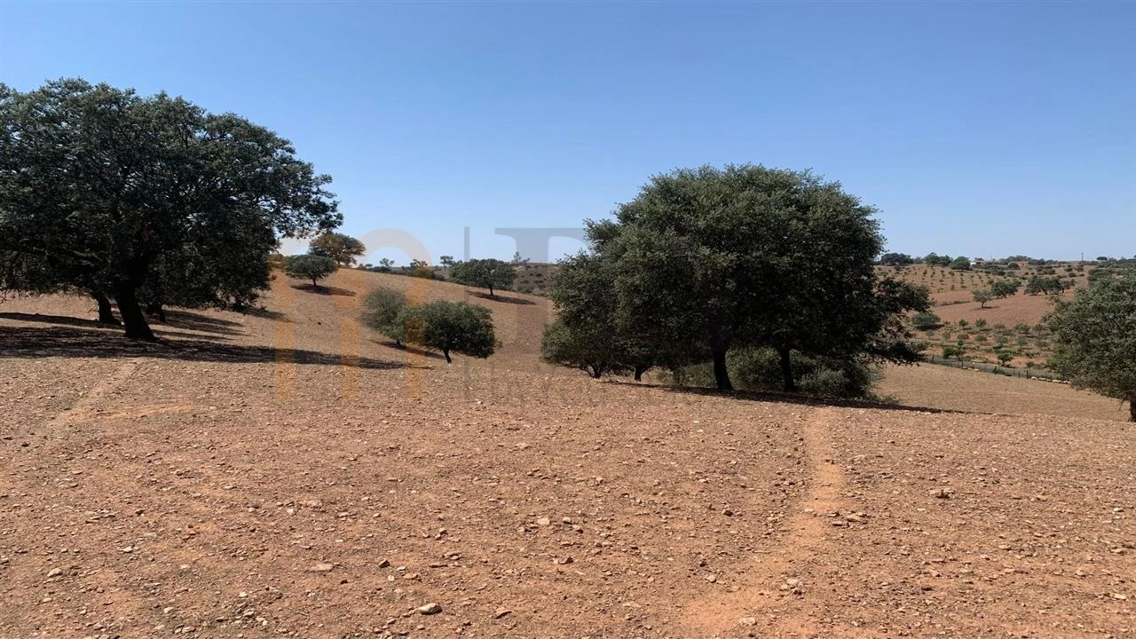 Terreno Agricola ou Rústico para Venda em Santana de Cambas Foto 4