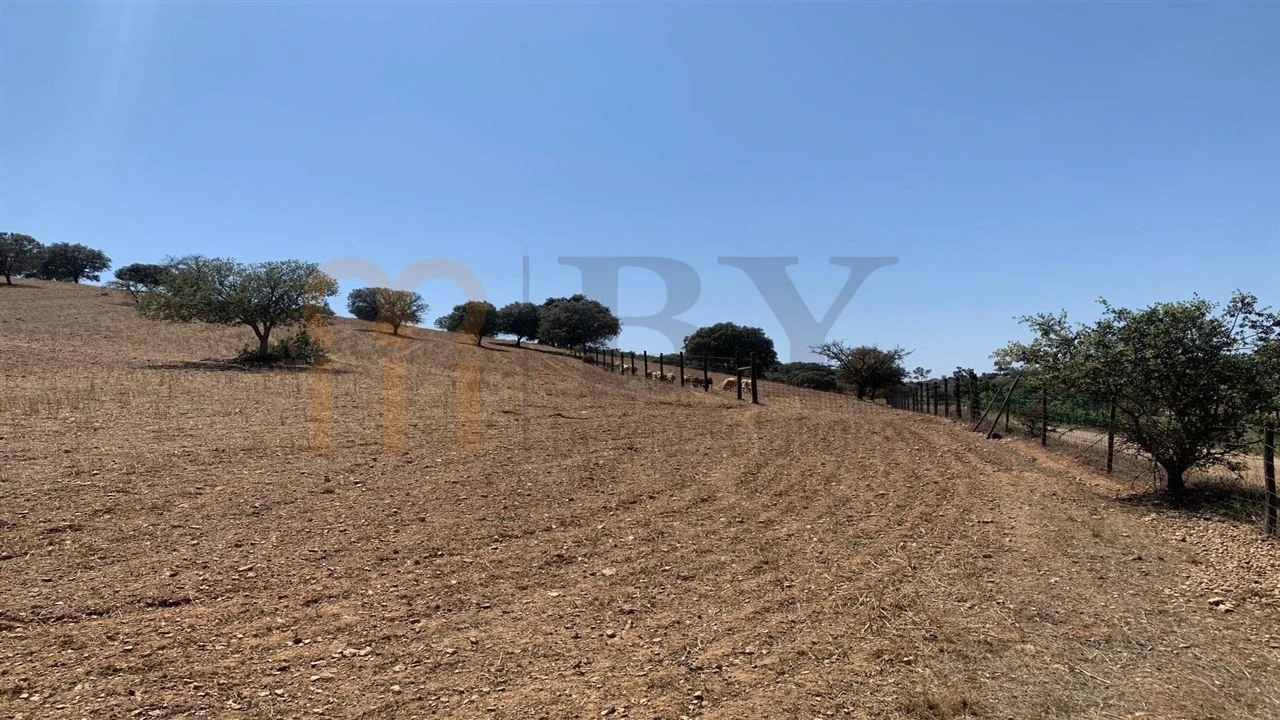 Terreno Agricola ou Rústico para Venda em Santana de Cambas Foto 6