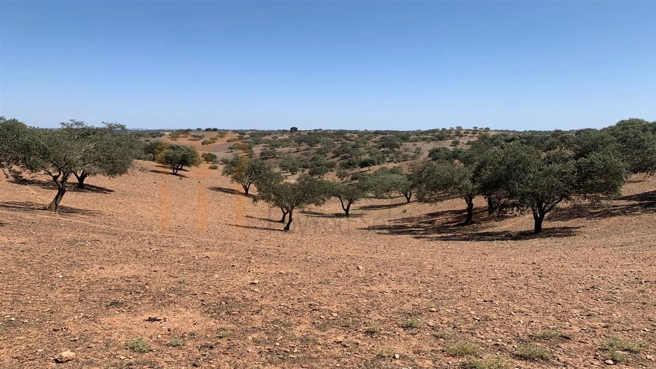 Terreno Agricola ou Rústico para Venda em Santana de Cambas Foto 7